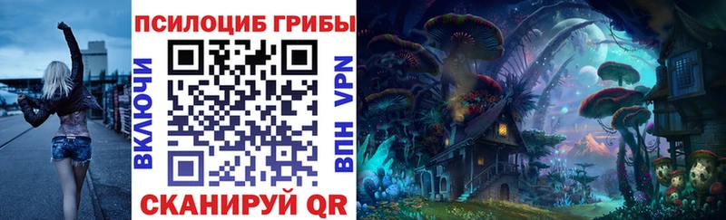 что такое   Новотитаровская  Псилоцибиновые грибы мицелий 